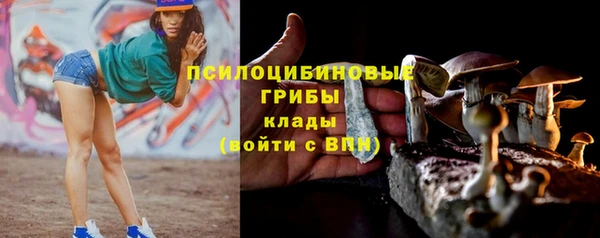 амф Анжеро-Судженск