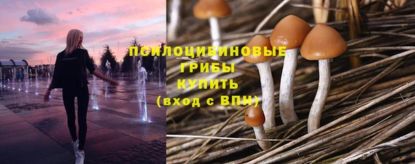 прущие крисы Козловка