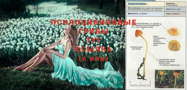 прущие крисы Козловка